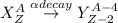 X_{Z}^{A}\overset{\alpha decay}{\rightarrow}Y_{Z-2}^{A-4}