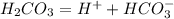 H_2CO_3=H^++HCO_3^-