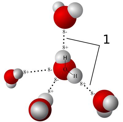 What are the intermolecular forces that exist between molecules of nh3, h2o and hf called ?