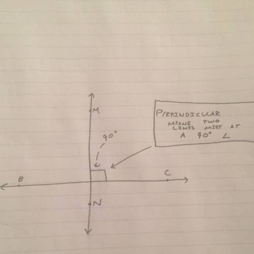 Can someone  send me an example of this?  (perpendicular)