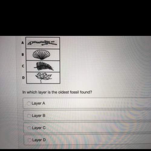 The diagram shows the fossils found in different layers of a rock. layer a layer b layer c layer d&lt;
