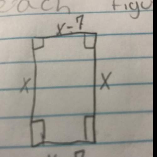 What is the perimeter of the rectangle