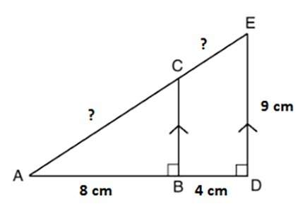 Since bc is parallel to de, triangles abc and ade are similar. what are the lengths of the unknown s