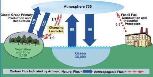 How are human activities impacting this model of the carbon cycle as it applies to the great lakes e