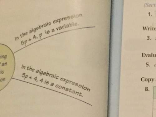 #14 this is sixth grade math using algebraic expressions