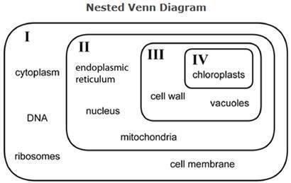Refer to the nested venn diagram above. identify the venn diagram section(s) which include(s) prokar