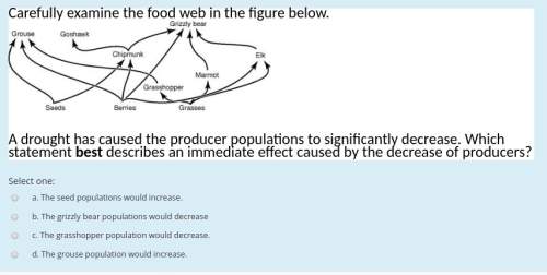 Carefully examine the food web in the figure below. grizzly food web a drought has caused the produc