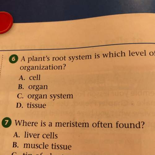 Aplants root system is which level or organization? a. cell b. organ c. organ system d. tissue