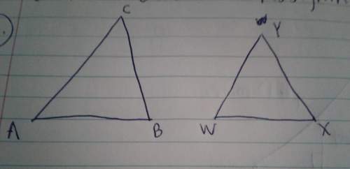 If triangle abc is similar wxy write a proportionality statement for the ratio of the sides of the t