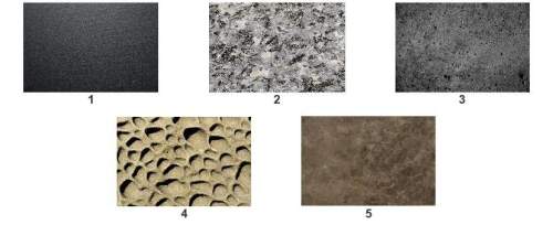 Look at the images of different rocks. which rocks have a fine-grained texture? check all that appl