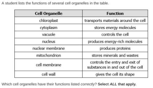 37 points asap which cell organelles have their functions listed correctly?