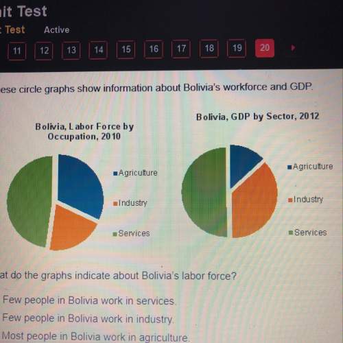 What do the graphs indicate about bolivia’s labor force
