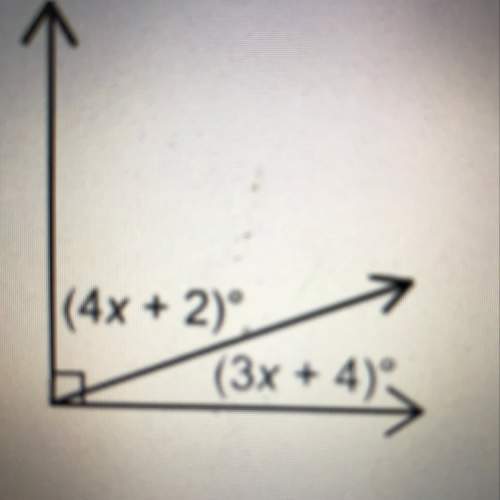 What are the measures of the two angles in the figure below?
