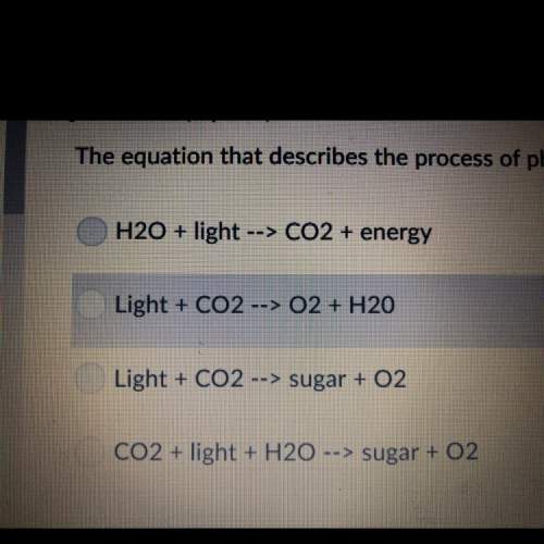 The equation that describes the process of photosynthesis