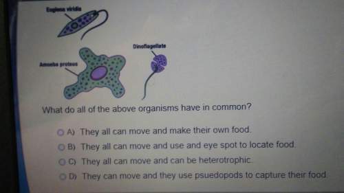 What do all of the above organisms have in common