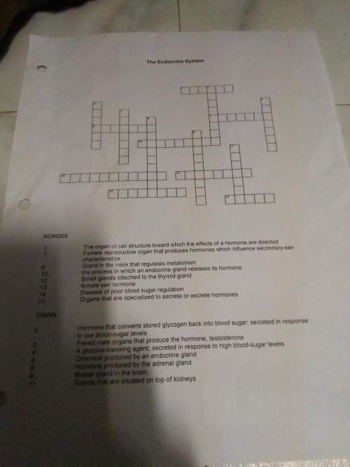 Me with biology endocrine system crossword also image left i need with hw