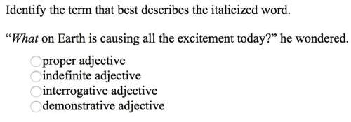 Identify the term that best describes the italicized word. "what on earth is causing all the excitem