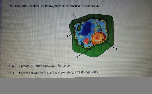 In the diagram below, what is the function of structure 4?
