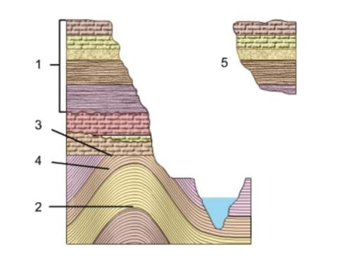 Iwill give brainlest! 20 points! need answer asap, .what can you assume about the layers in areas