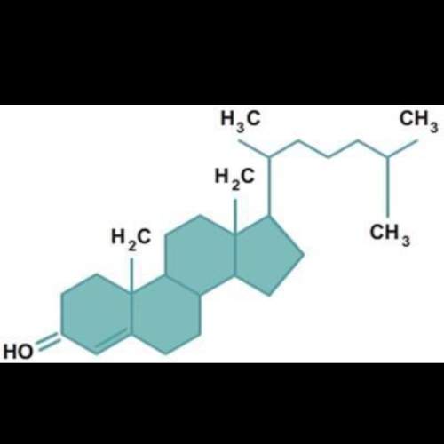 What type of molecule is represented by the model below? a) fat b) carbohydrate c) steroid d) pro