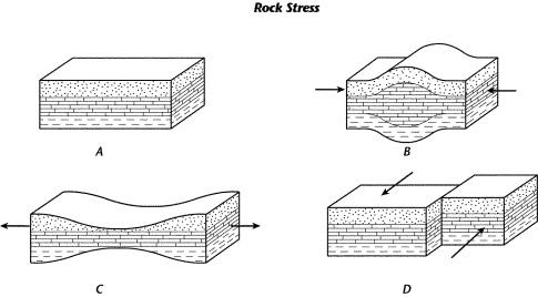 Use the diagram to answer each question. what caused the rock layers to take on the shape shown in d