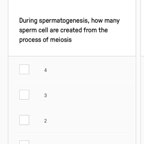 How many sperm cells are created from the process of meiosis