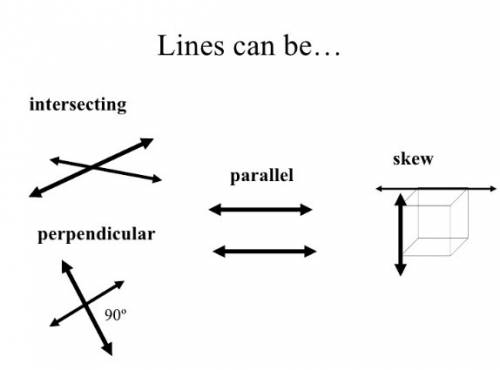 Skew lines are parallel.  always  sometimes  never