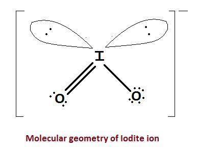 The central atom in the iodite ion, 102, is surrounded by 1 [2] [3] [4] [5] single bond, i double bo