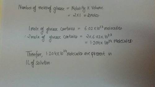 How many molecules of glucose are contained in one liter of a 2m solution