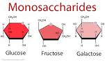 What does a monosaccharide look like?