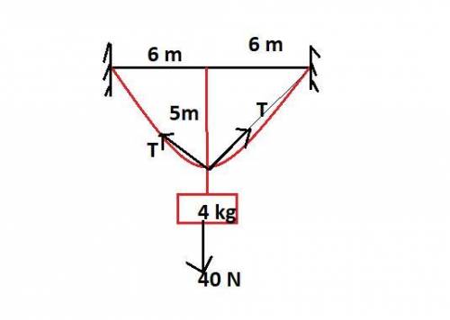 Ahorizontal clothesline is tied between 2 poles, 12 meters apart. when a mass of 4 kilograms is tied