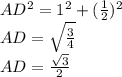 AD^{2}=1^{2}+(\frac{1}{2} )^{2}\\AD=\sqrt{\frac{3}{4} } \\AD=\frac{\sqrt{3}}{2}