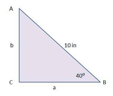 Which equation can be used to find the length of line segment a c?  triangle a b c is shown. angle a