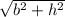 \sqrt{b^{2} +h^{2} }