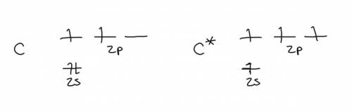 (a) consider a carbon atom in its ground state. would such an atom offer a satisfactory model for th
