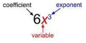 What is the coefficient of each monomial a.5k b.t c.-9t d.-j