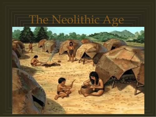 The period in history when agricultural societies began to form is the  paleolithic age ice age meso