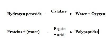 In the enzymatic reaction, the  is on the left of the arrow, while the products are to the right of