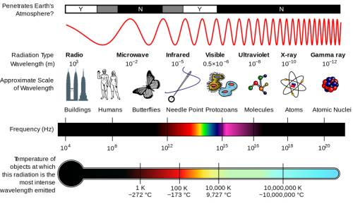 Which of the following types of electromagnetic radiation has the longest wavelength?  radio waves u