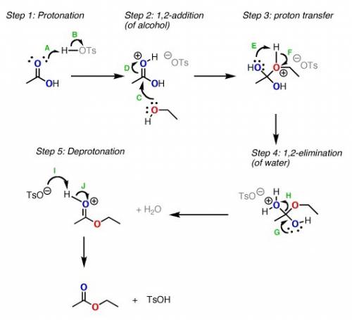 Write a detailed mechanism for the formation of ethyl acetate from ethanol and acetic acid with h2so