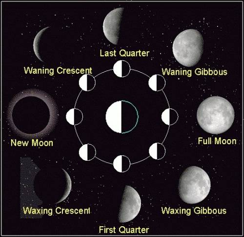 Name for the moons different shapes