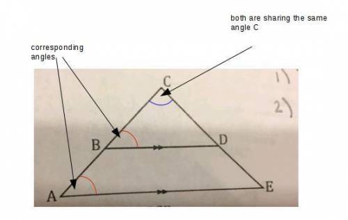 Given ae is parallel to bd,prove triangle ace ~ triangle bcd