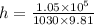 h = \frac{1.05 \times 10^5}{1030 \times 9.81}