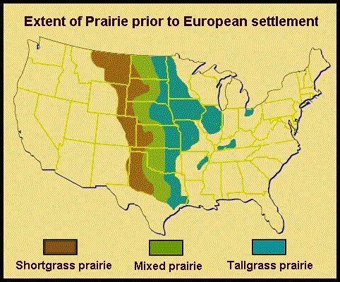 1. shade in the american prairie as it was in the 1800s on this map, or use the space below the map