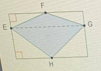 Kite efgh is inscribed in a rectangle such that f and h are midpoints and eg is parallel to the side