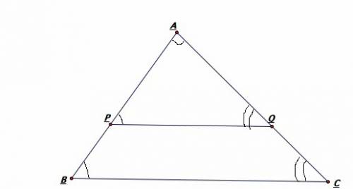 Part a:  is triangle abc similar to triangle apq?  explain using what you know about triangle simila