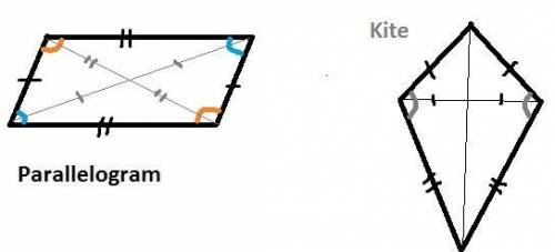 Excluding rhombuses and squares, explain the difference between parallelograms and kites.