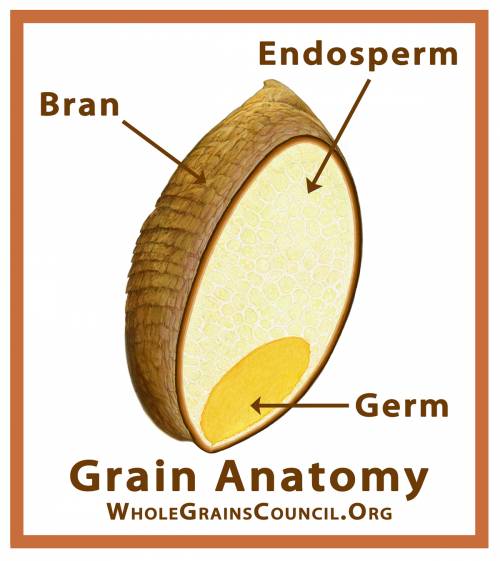 Which of the following must be true for a grain to be called whole?  a. the grain must consist of br