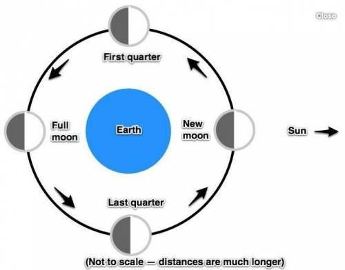 Why do we see different phases of the moon each month