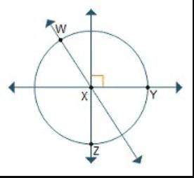 Which point is the center of the circle? point wpoint xpoint ypoint z